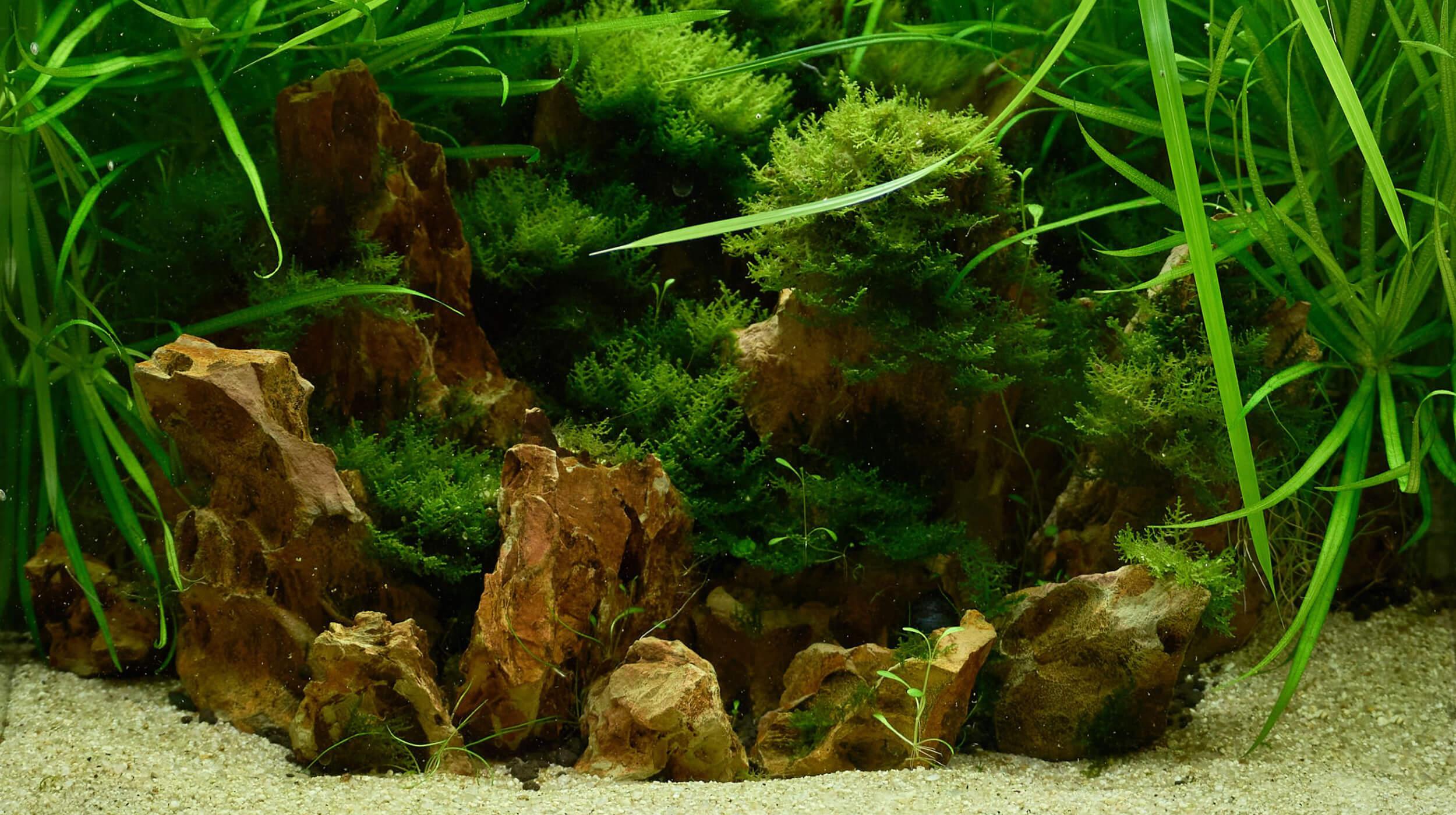 flake stone mix size (1kg)