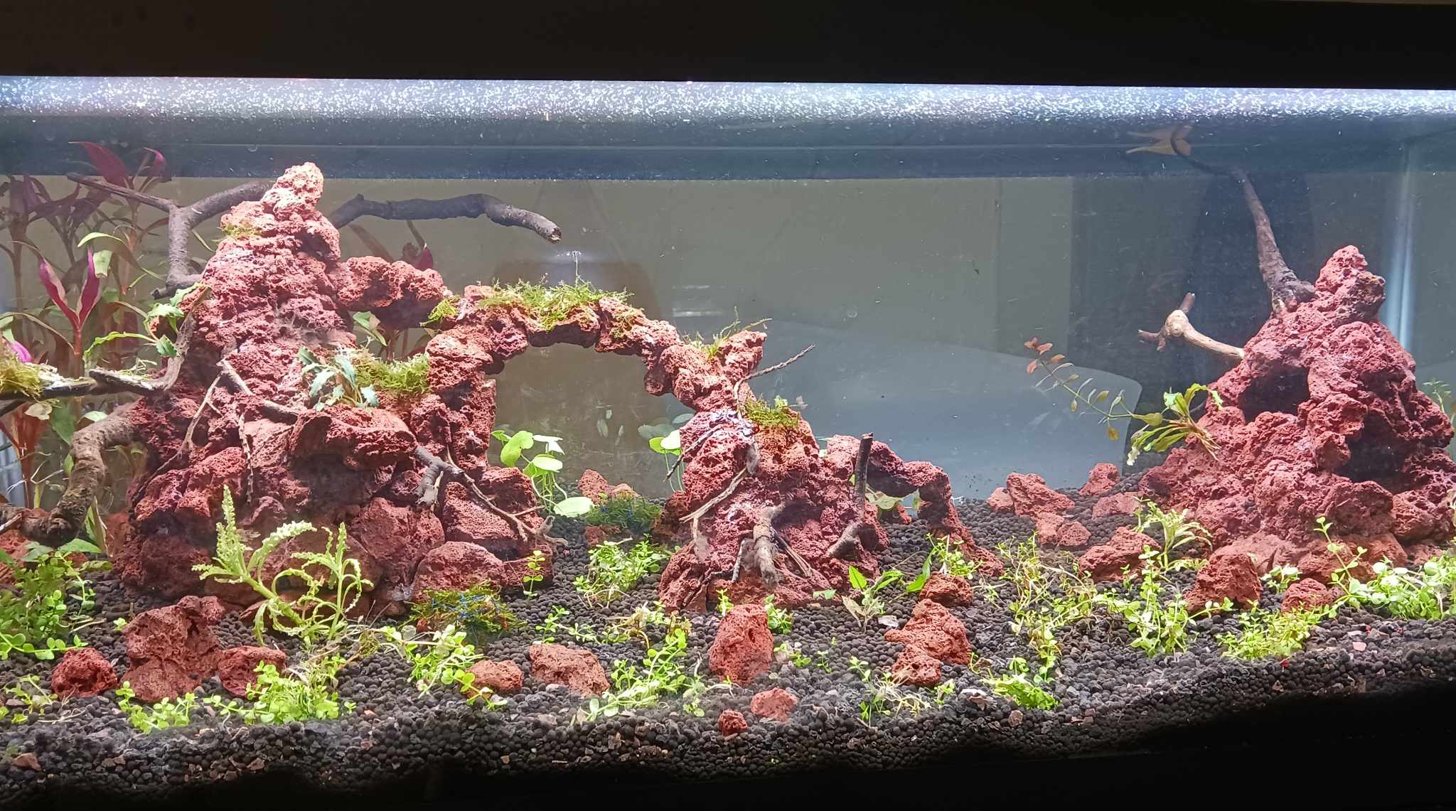 red lava rock mix size (1kg)