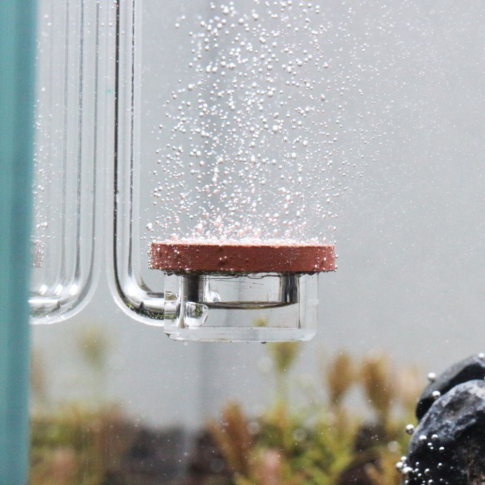 co2 diffusers (medium)