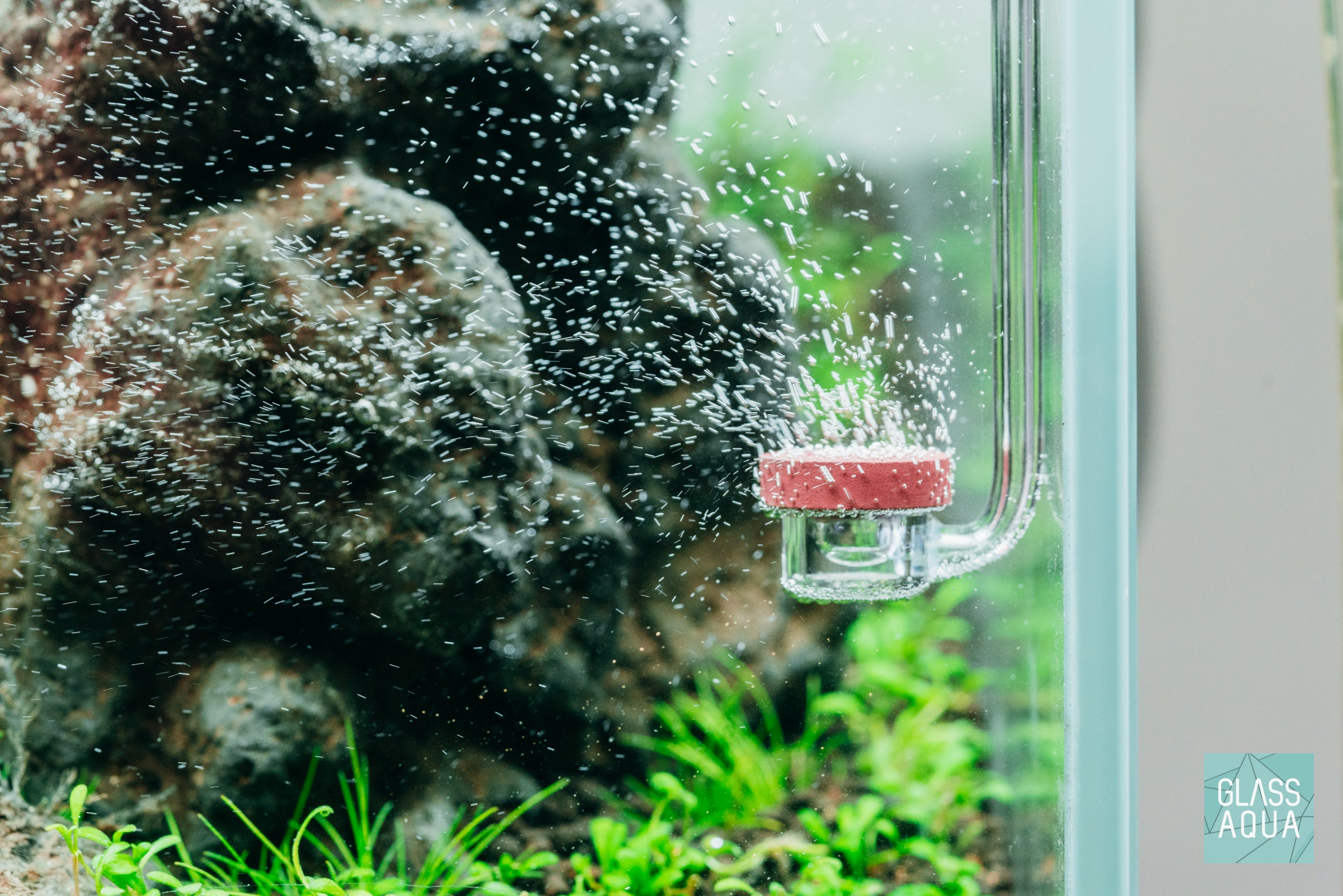 neo curved tiny co2 diffuser