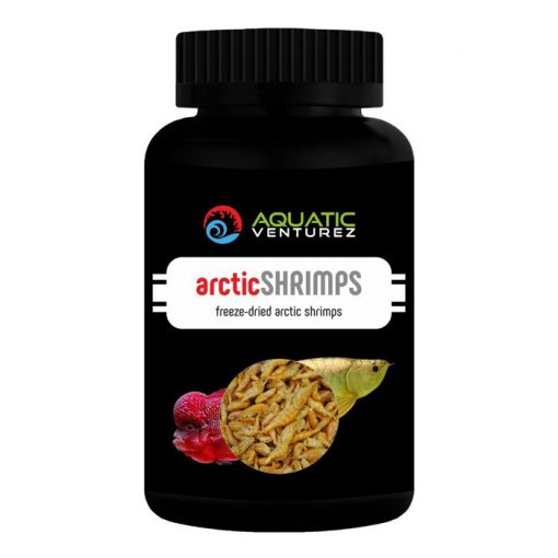 arctic shrimps