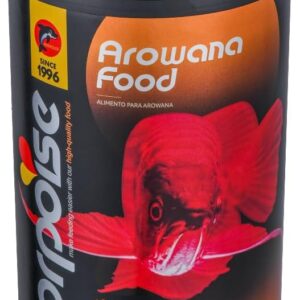 arowana food