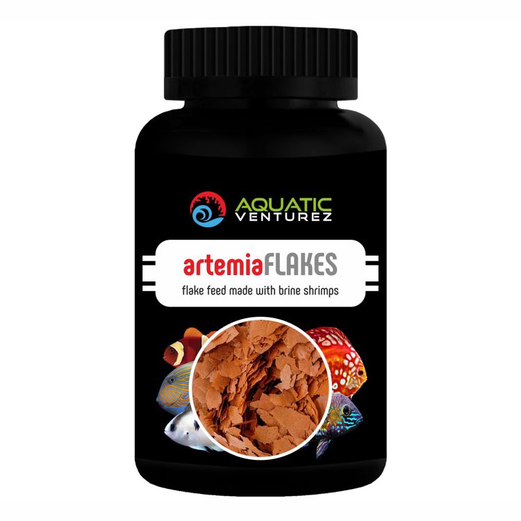 artemia flakes