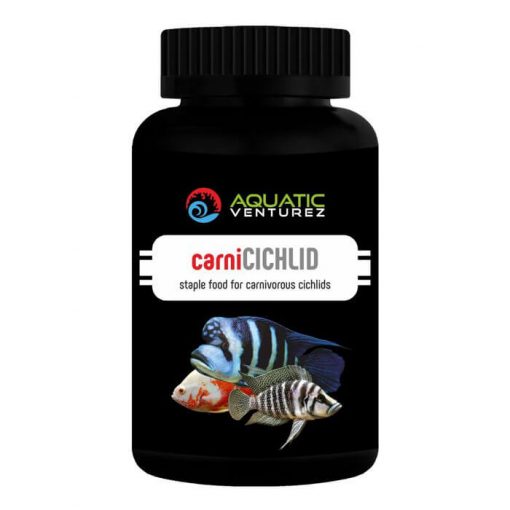 carni cichlid