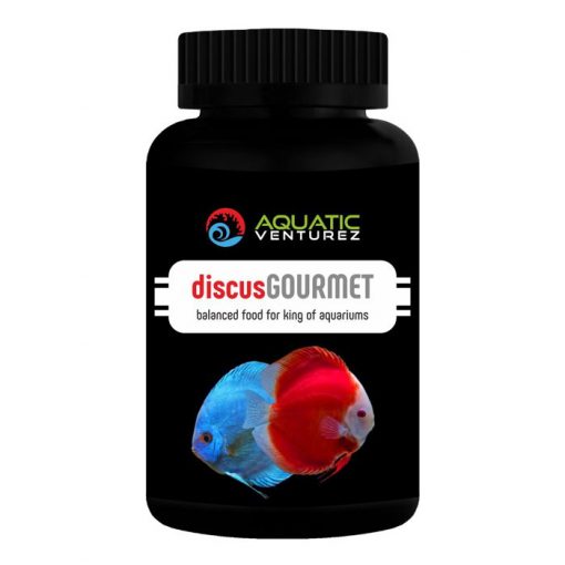 discus gourmet