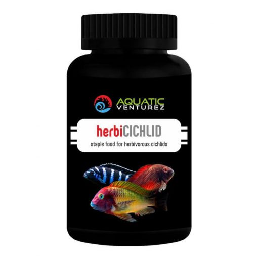 herbi cichlid