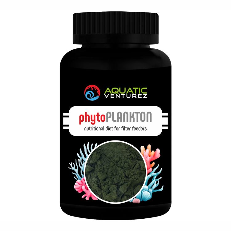 phyto plankton