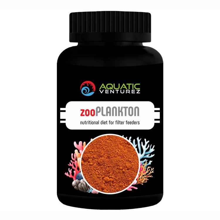 zoo plankton