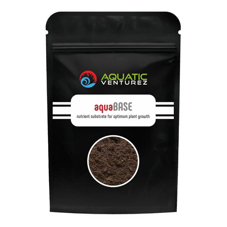 aqua base