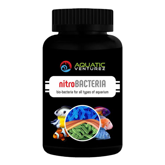 nitro bacteria